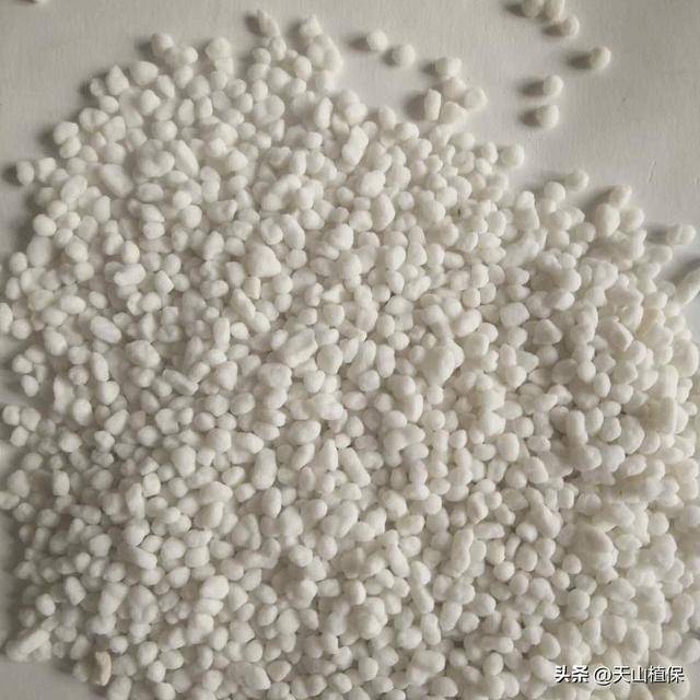 常见氮肥有哪些类型